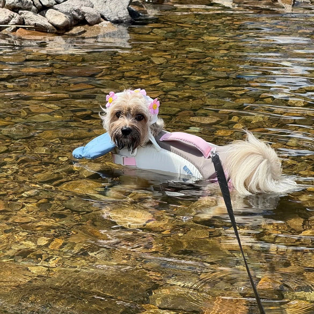 即納【BITE ME】Aqua Bear Life Vest（2 colors）