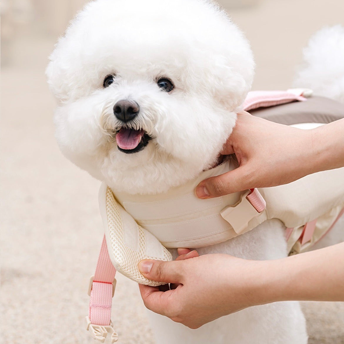 海外犬服 高品質なインポートのドッグウェア通販 