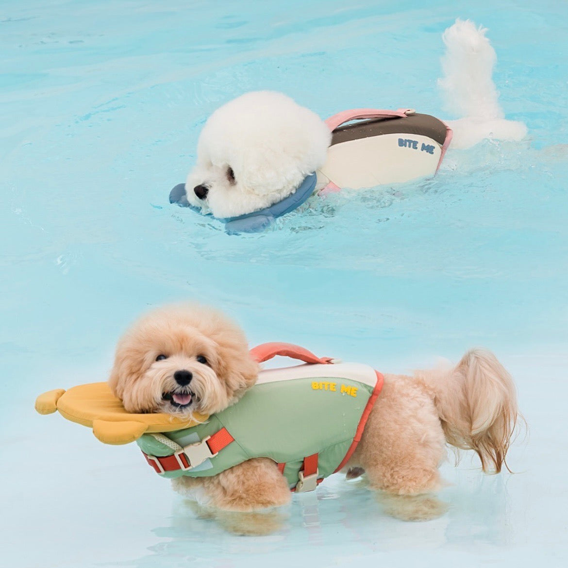 即納【BITE ME】Aqua Bear Life Vest（2 colors）