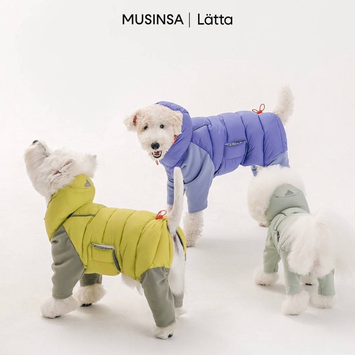 海外犬服 高品質なインポートのドッグウェア通販 