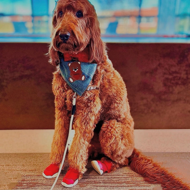 即納【RIFRUF】SNEAKERS CAESAR 1（Ember）