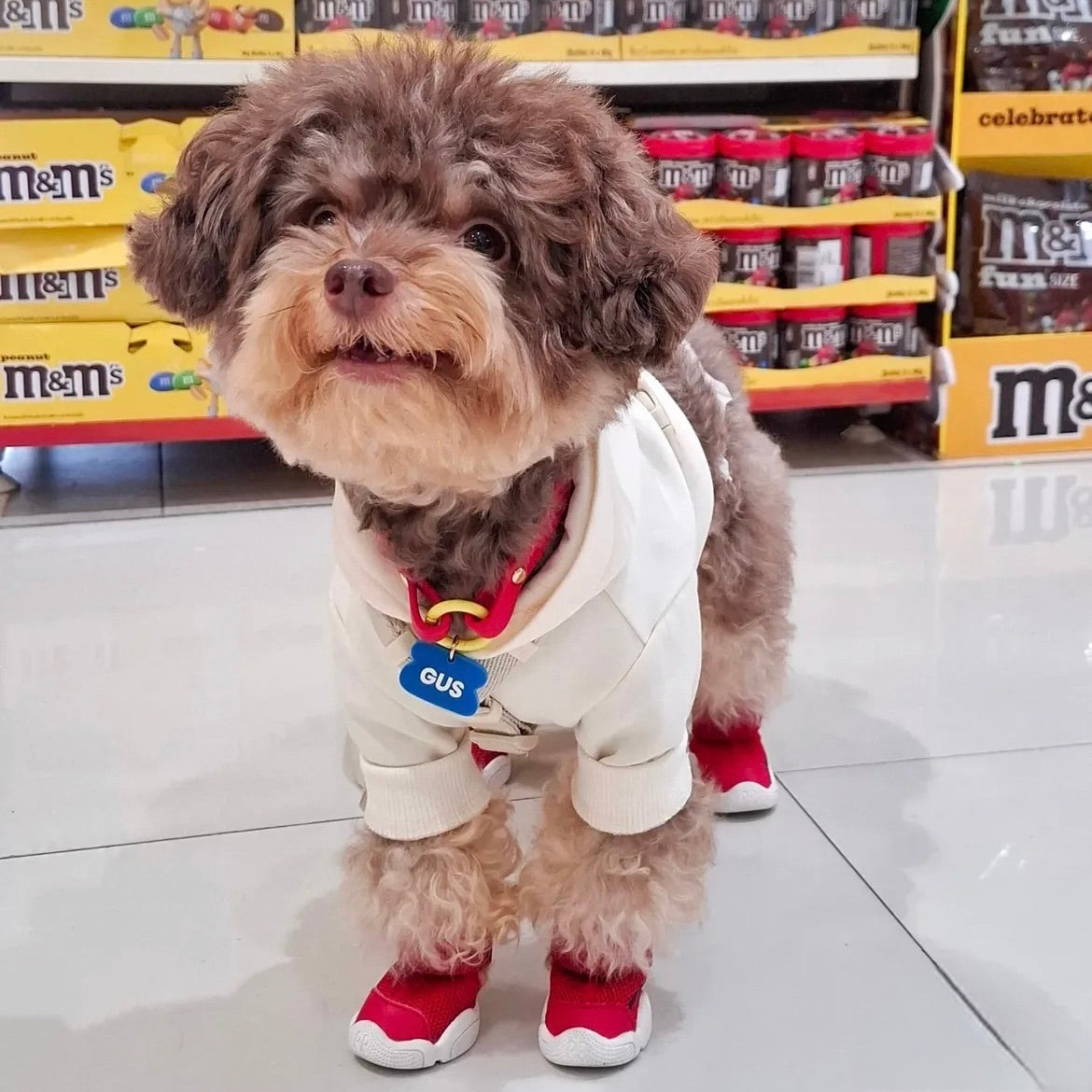 海外犬服 高品質なインポートのドッグウェア通販 