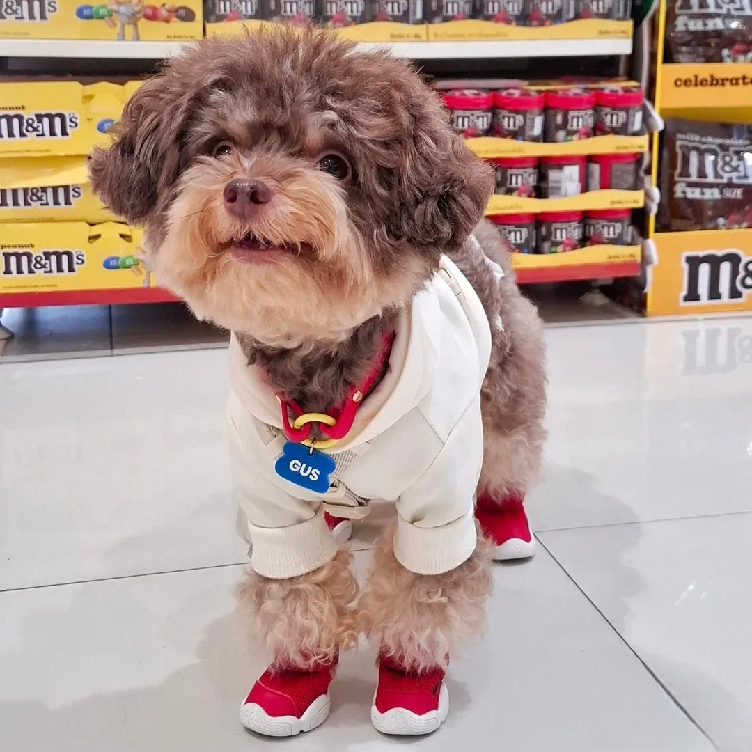 即納【RIFRUF】SNEAKERS CAESAR 1（Ember）