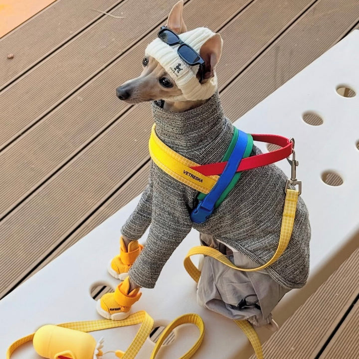 即納【RIFRUF】SNEAKERS CAESAR 1（Daffodil）