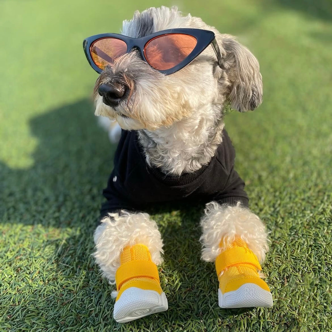 即納【RIFRUF】SNEAKERS CAESAR 1（Daffodil）