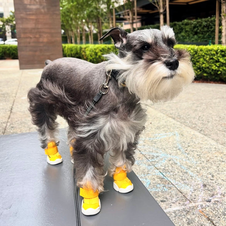 即納【RIFRUF】SNEAKERS CAESAR 1（Daffodil）