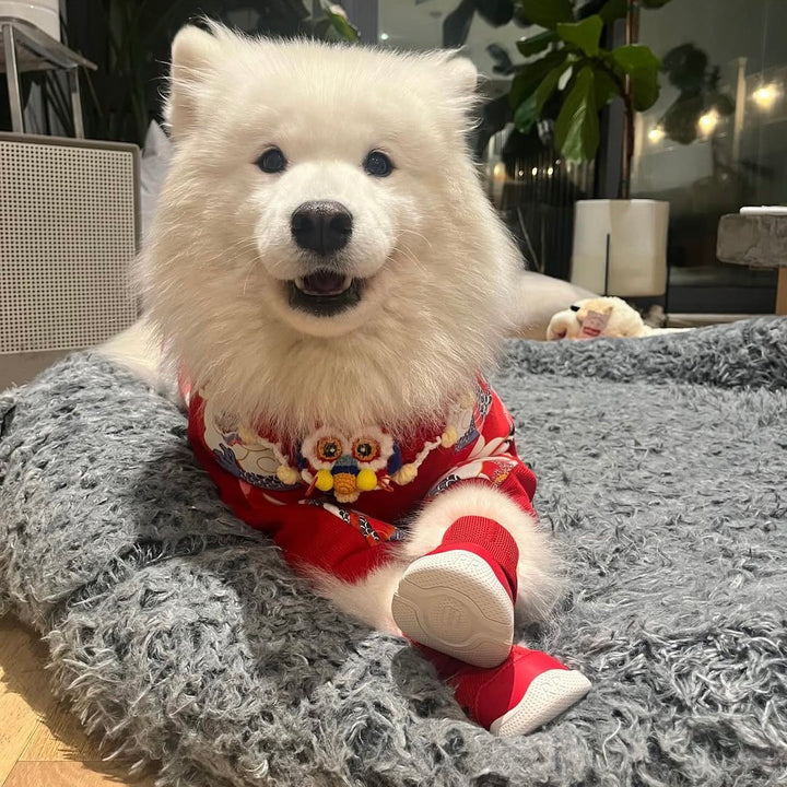 即納【RIFRUF】SNEAKERS CAESAR 1（Ember）