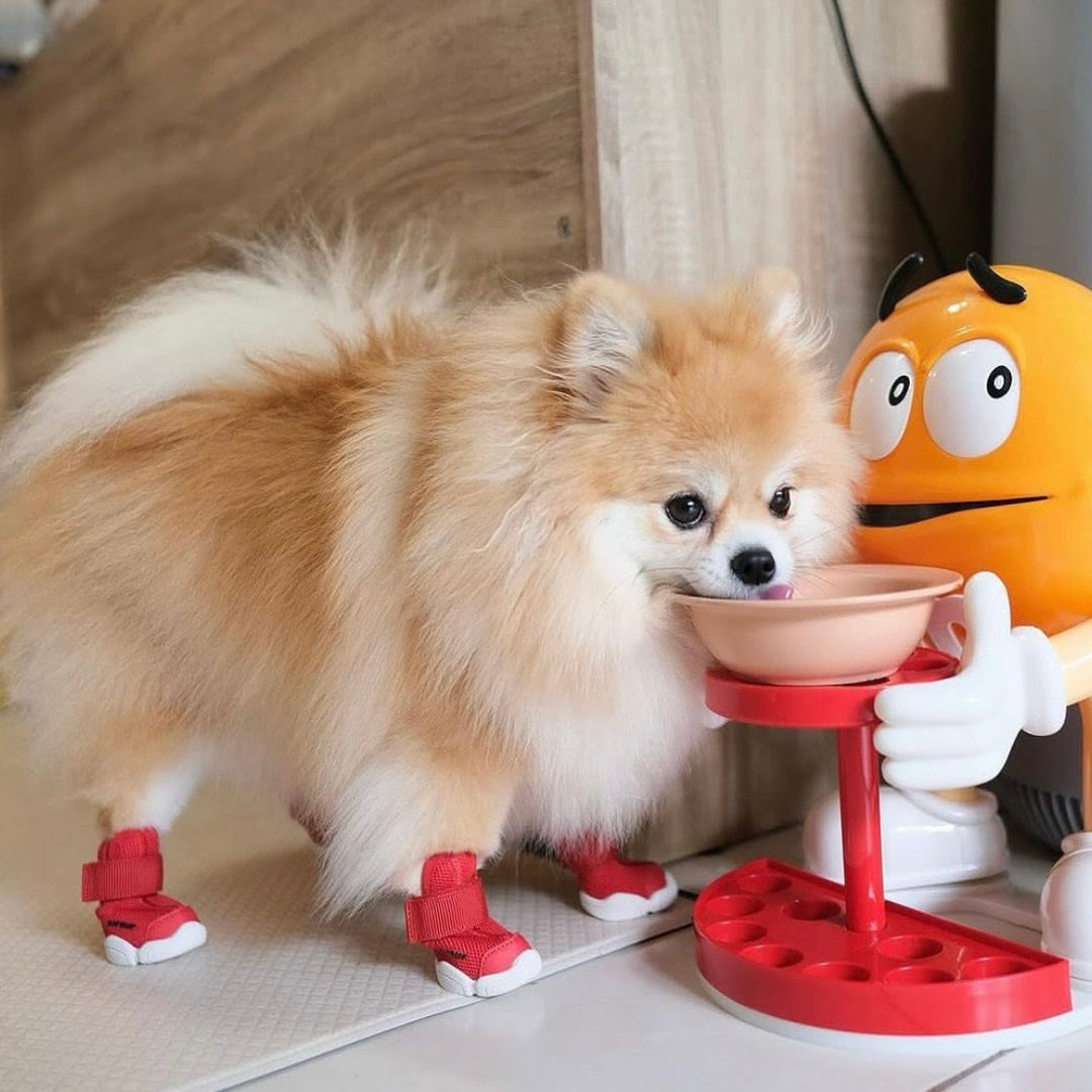 即納【RIFRUF】SNEAKERS CAESAR 1（Ember）