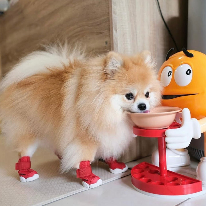 即納【RIFRUF】SNEAKERS CAESAR 1（Ember）