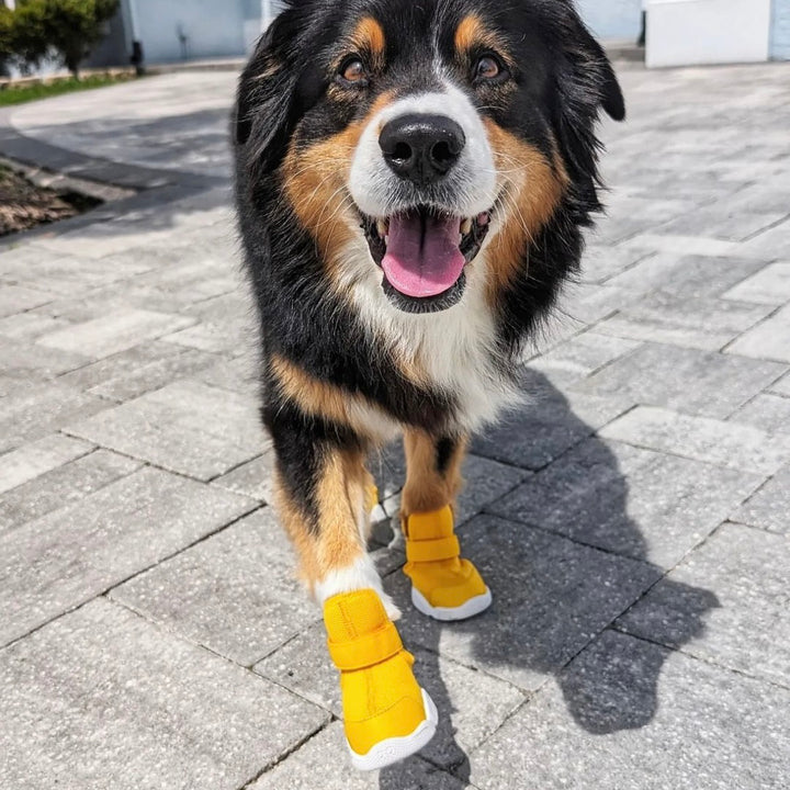 即納【RIFRUF】SNEAKERS CAESAR 1（Daffodil）