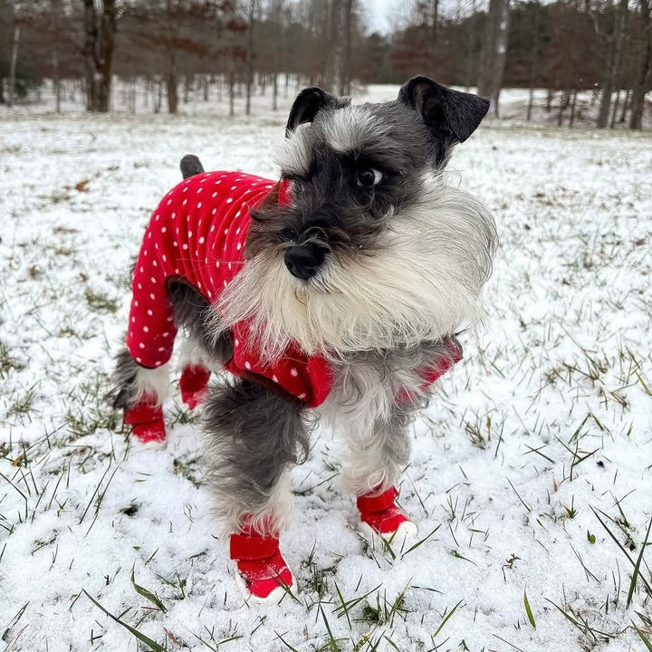 即納【RIFRUF】SNEAKERS CAESAR 1（Ember）