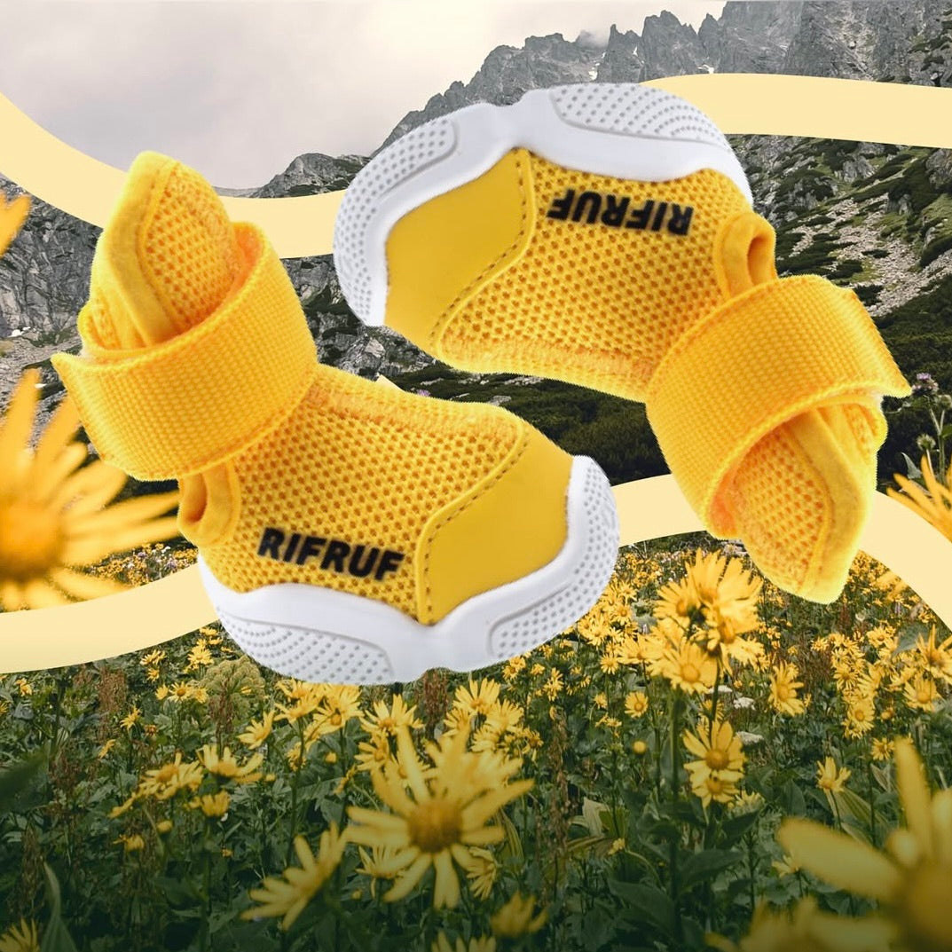 即納【RIFRUF】SNEAKERS CAESAR 1（Daffodil）