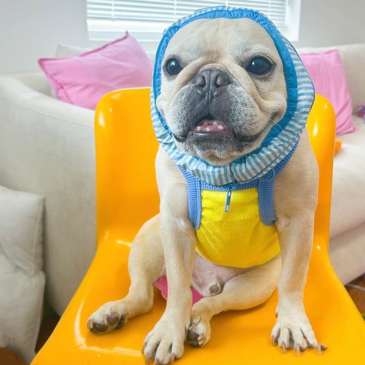 即納【TOOF】TEAM CUTIE TERRY TANK（YELLOW）