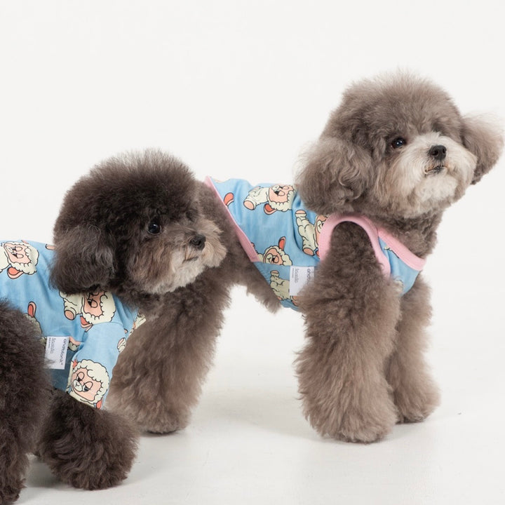 即納【andblank】ICONIC Pico Short Sleeve（Sky Blue）