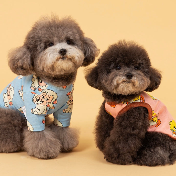 即納【andblank】ICONIC Pico Short Sleeve（Sky Blue）