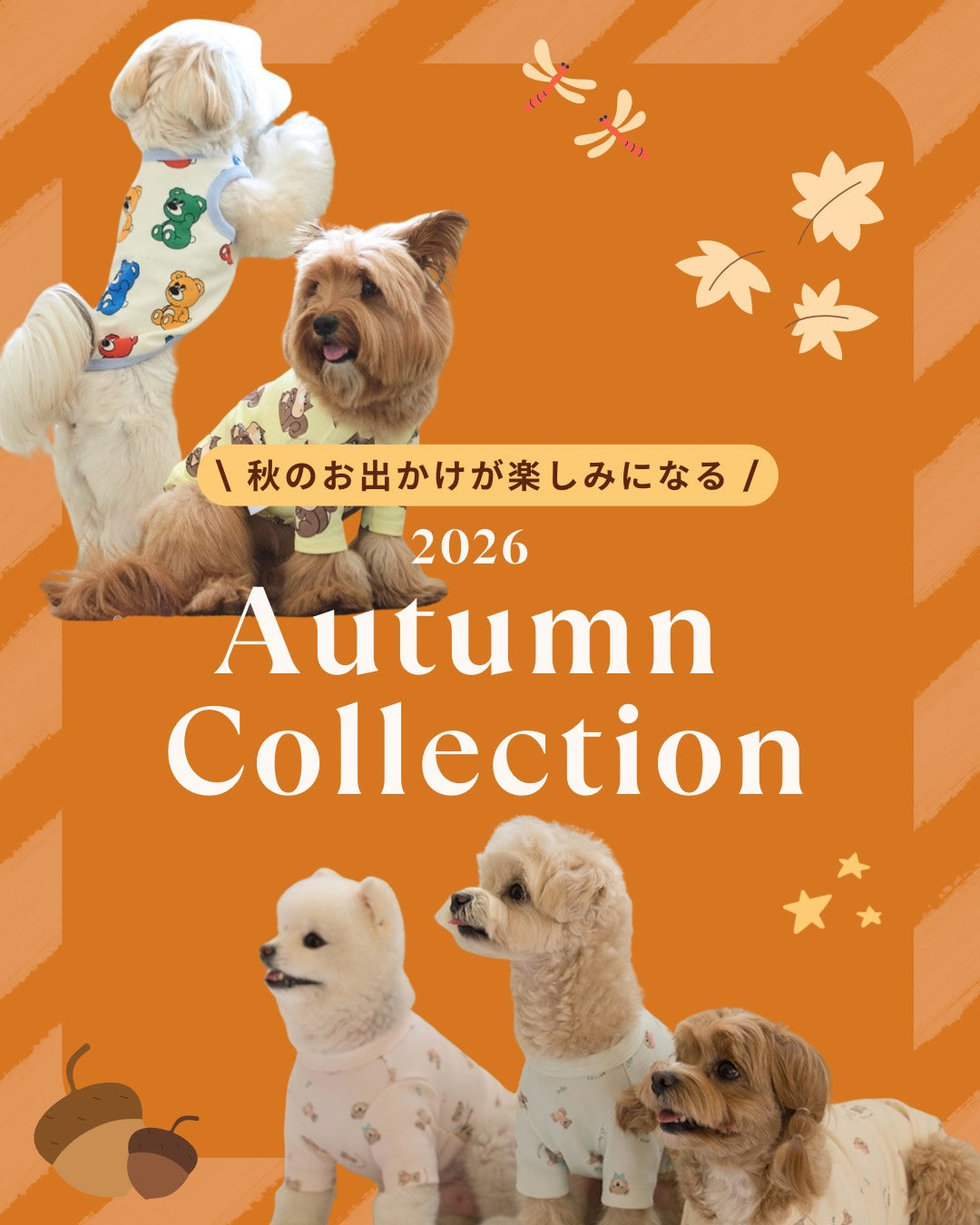 ドッグウェア（犬服）・犬用品通販「 URBAN DOG TOKYO」公式ストア