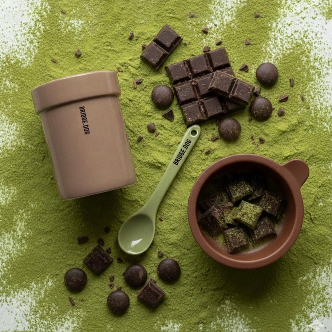 ※予約販売【BRIDGE.DOG】SPOON &amp; SPOON HOLDER (SET) - DARK CHOCO × MATCHA