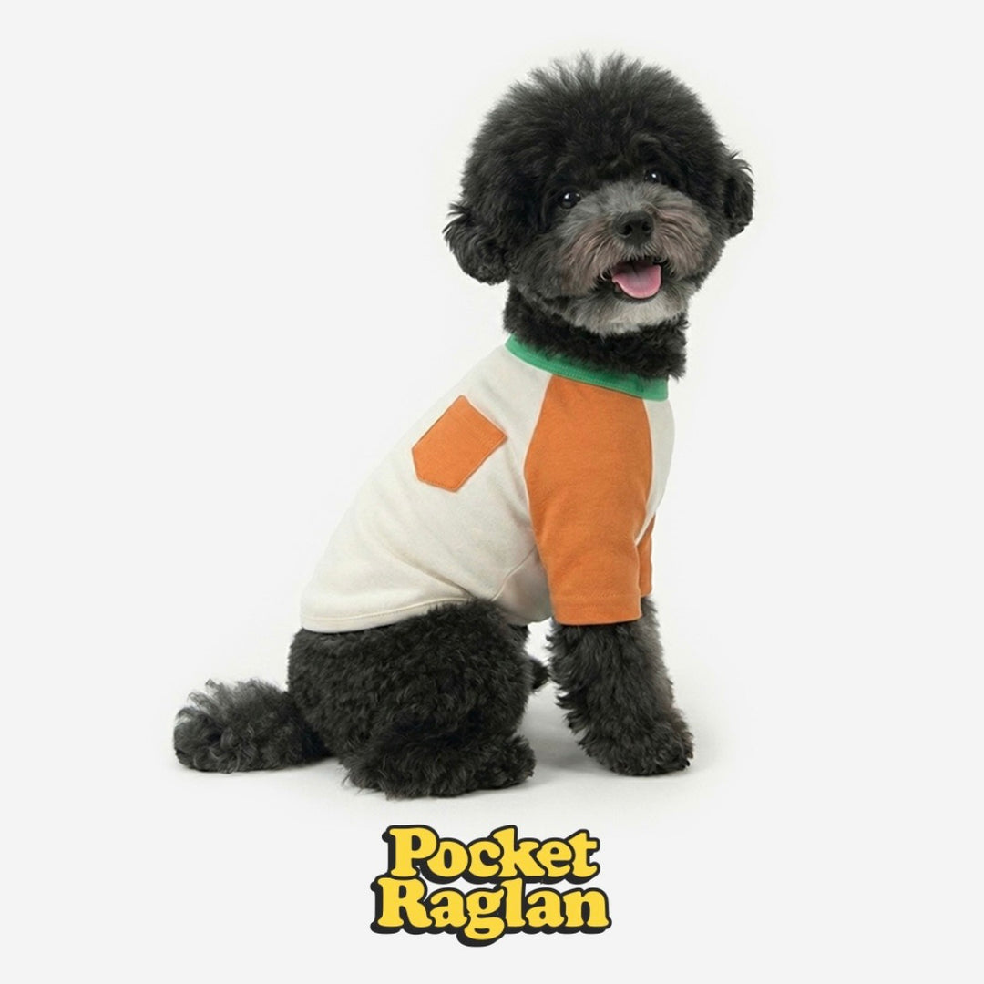 ※予約販売【TUSTUS】Block raglan tee（Orange）