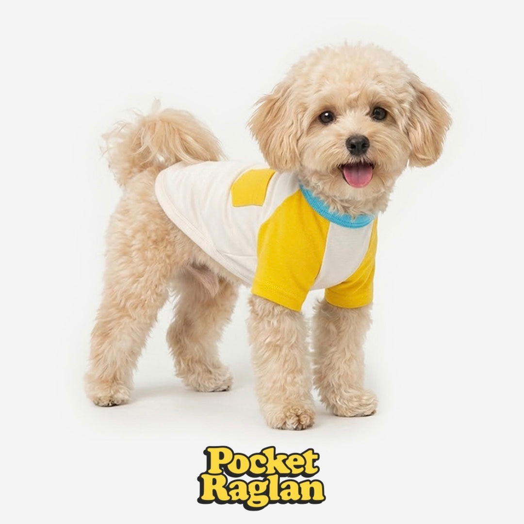 ※予約販売【TUSTUS】Block raglan tee（Yellow）