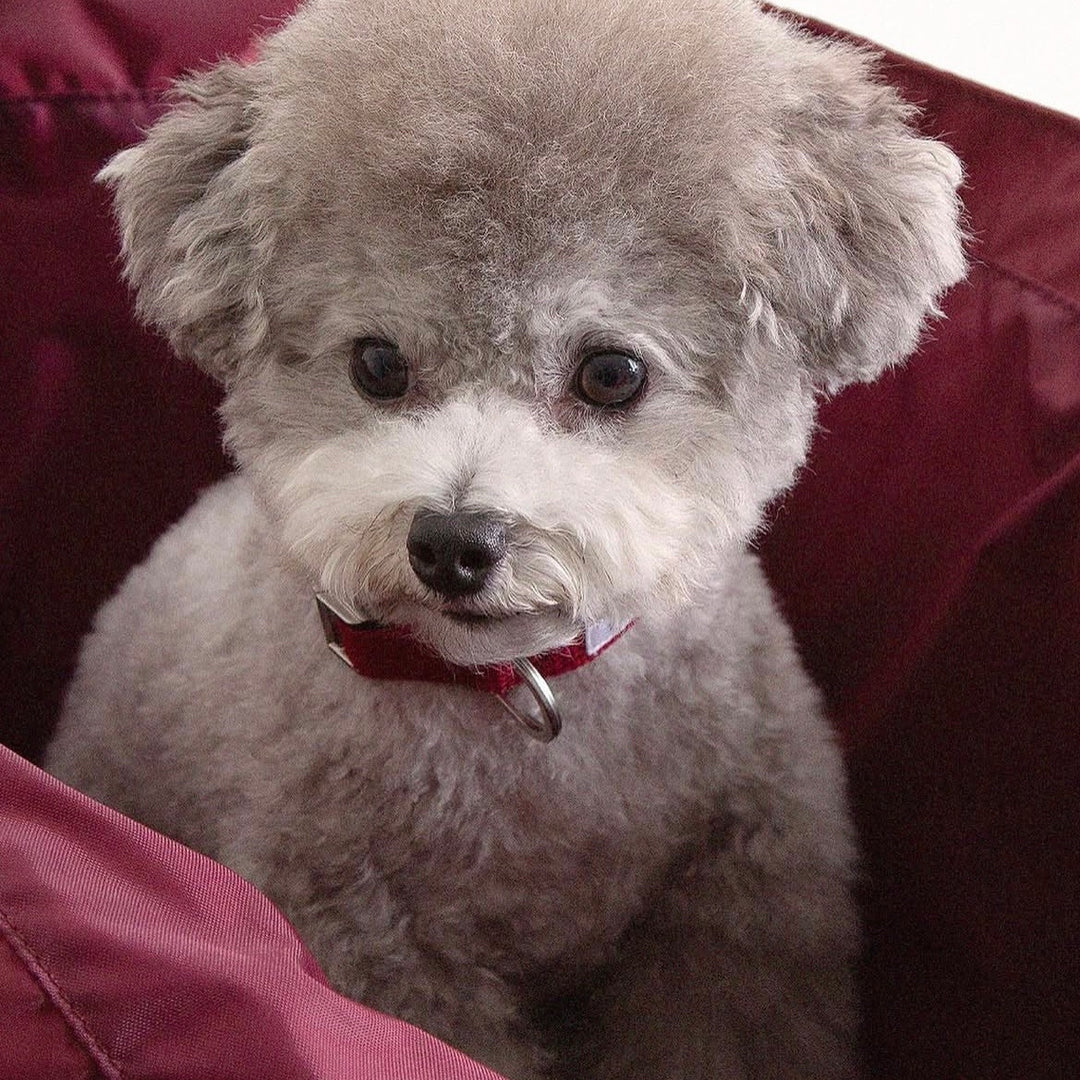 ※予約販売【foreverybari】New York Bag（Burgundy）