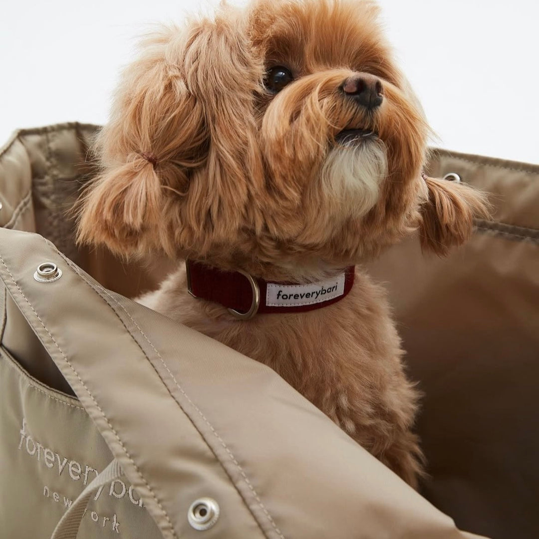 ※予約販売【foreverybari】New York Bag（Beige）