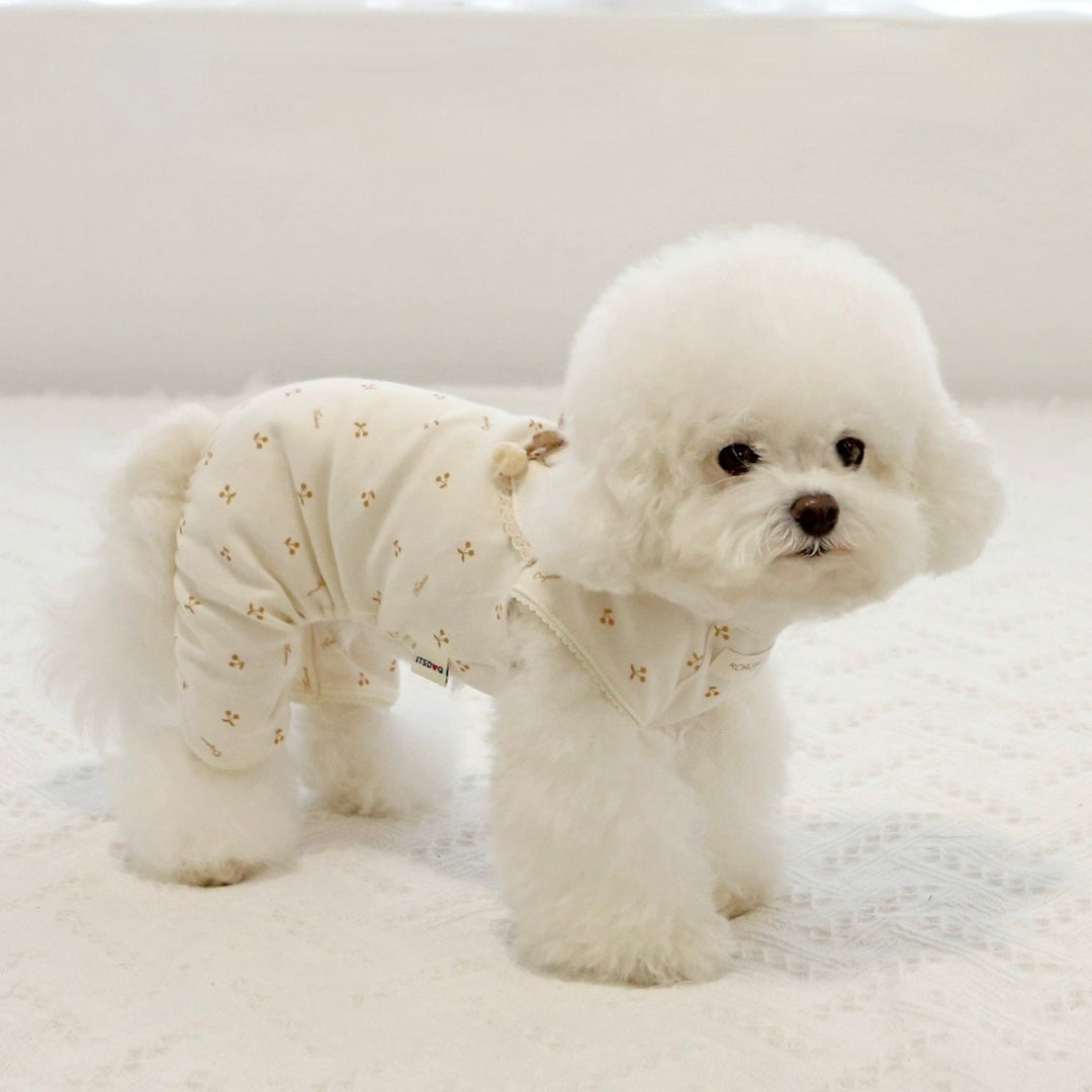 ※予約販売【ITS DOG】Organic Tory's Cherry All in one