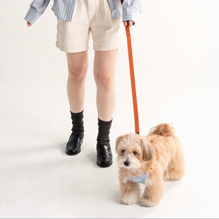 即納【BITE ME】Comfort Leash v2（3 types）