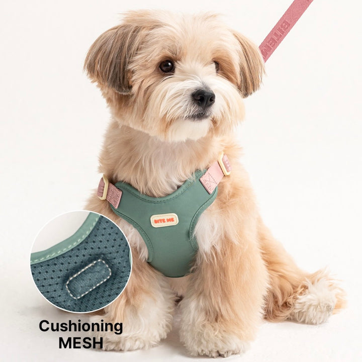 即納【BITE ME】Comfort Harness v2（3 types）｜犬用ハーネス