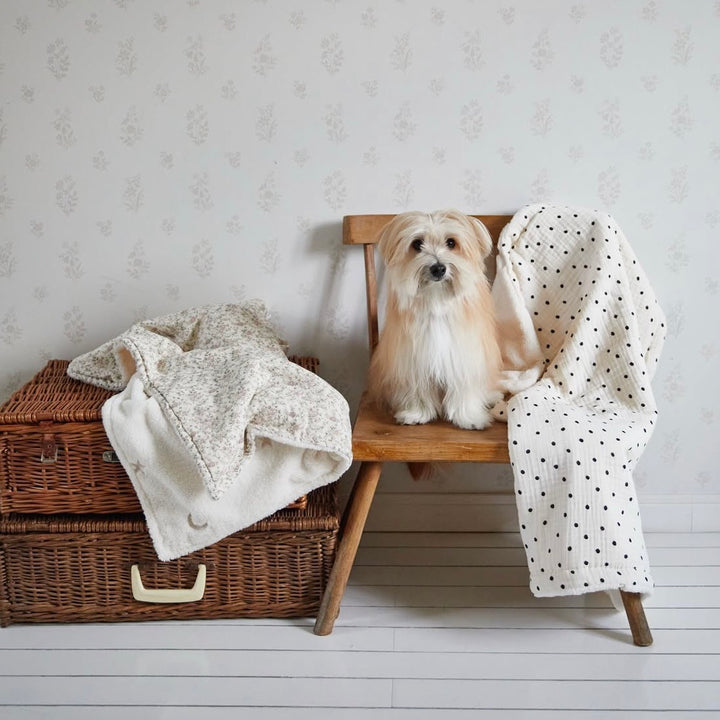 ※予約販売【azalea】Cozy Blanket（Flower / Dot）