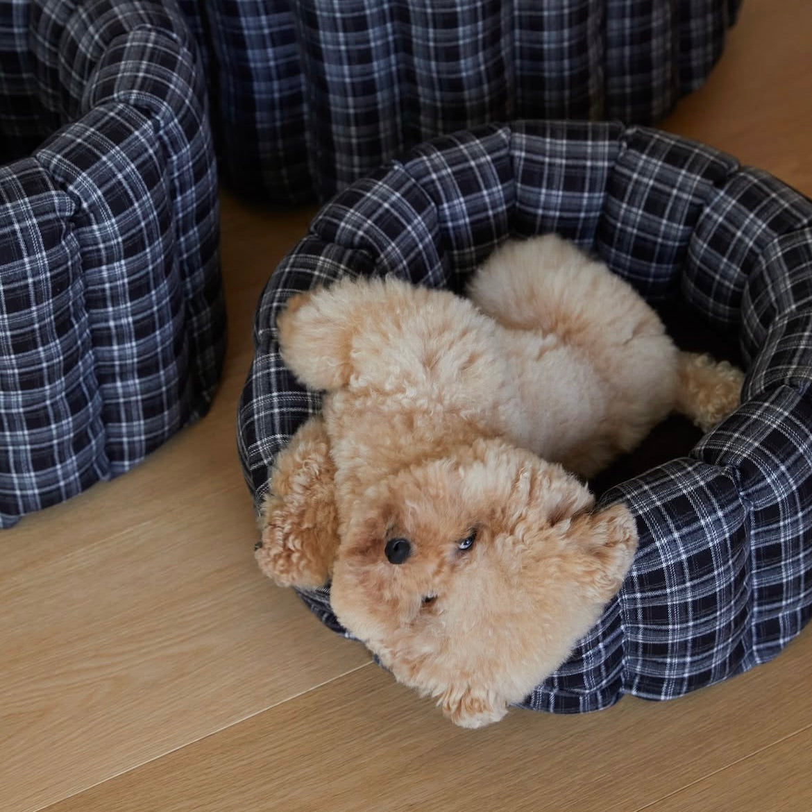 BED – URBAN DOG TOKYO