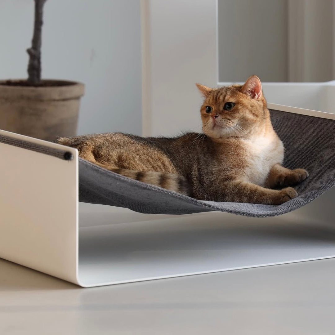 ※予約販売【andantte】Hammock 600