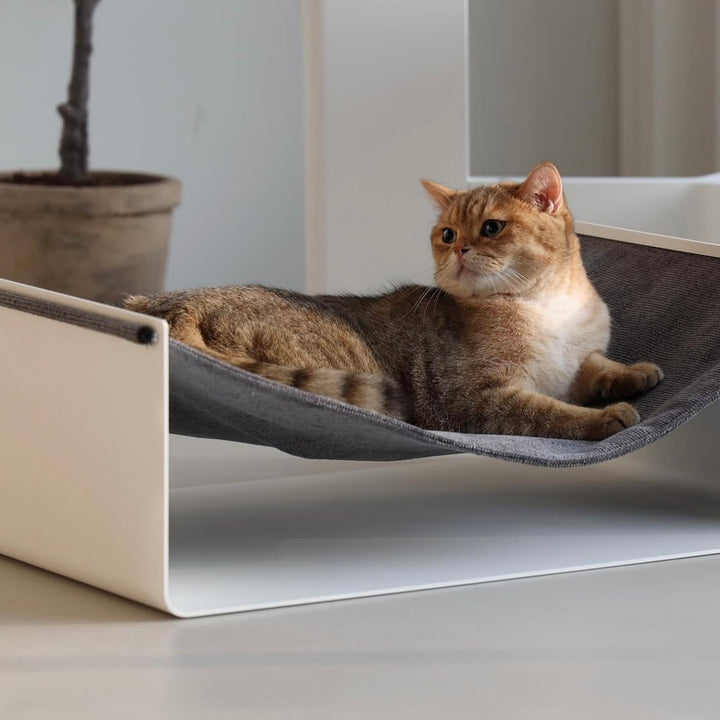 ※予約販売【andantte】Hammock 600