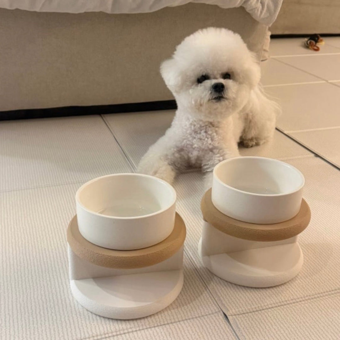 ※予約販売【andantte】Dining Table set 103d（1P）