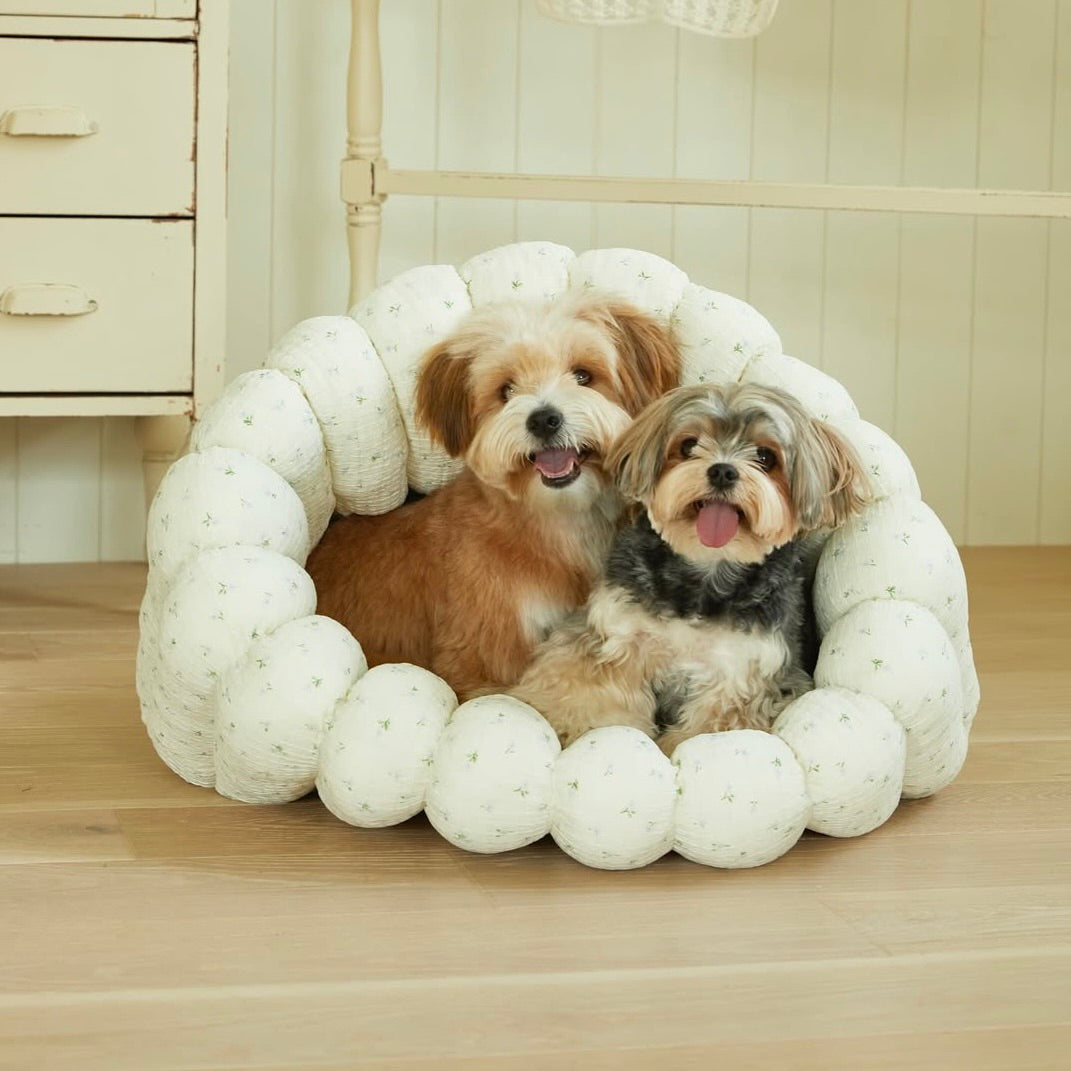 即納【azalea】Canele Cushion（flower soft canele / sky）