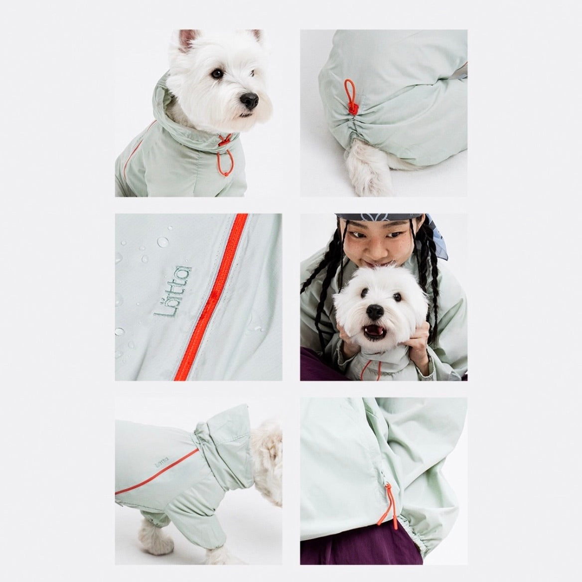 海外犬服 高品質なインポートのドッグウェア通販 