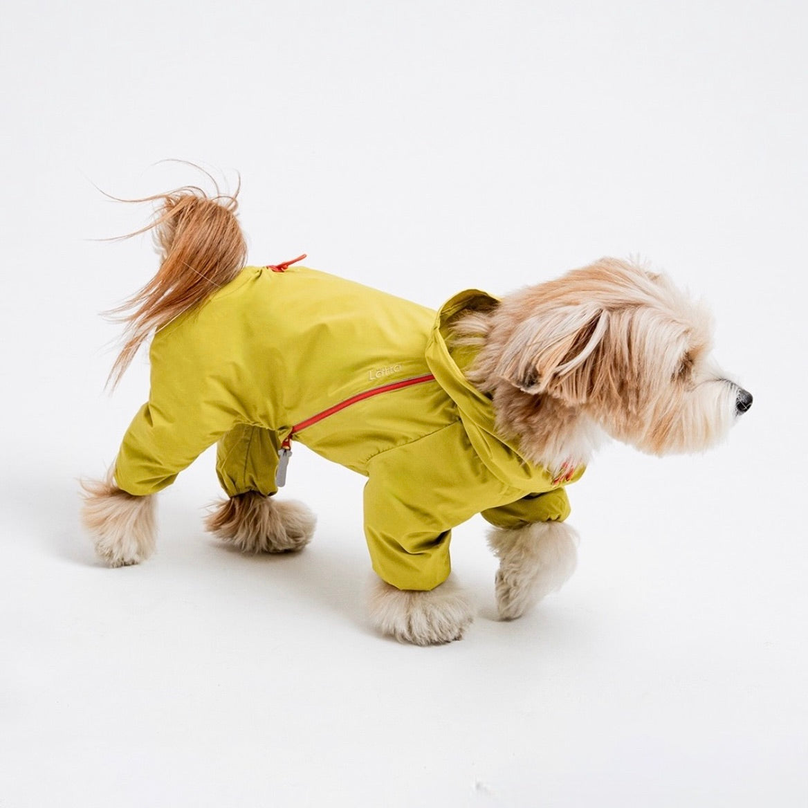 海外犬服 高品質なインポートのドッグウェア通販 