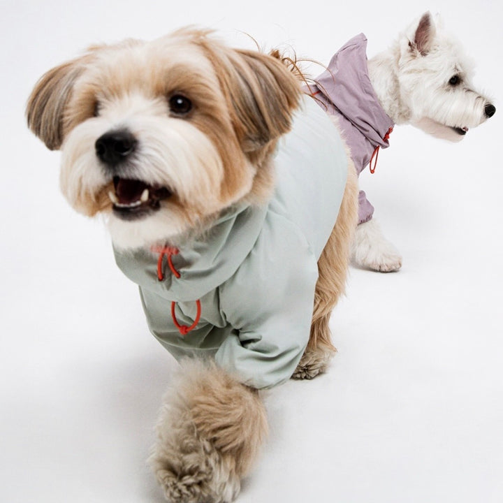 ※予約販売【BITE ME】Latta Filmcover Windbreaker Jacket（3types）