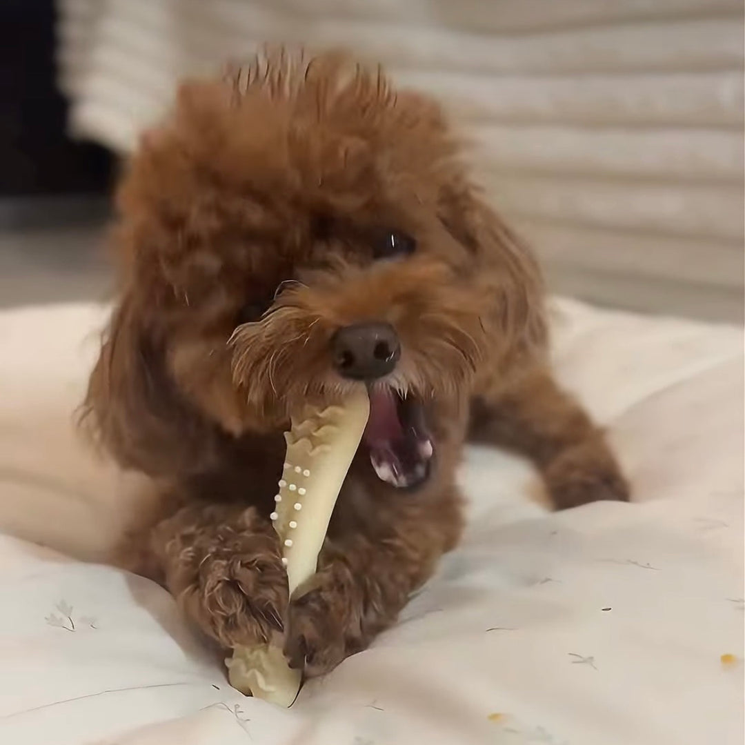 即納【BITE ME】Buddy Bone Nylon Toy