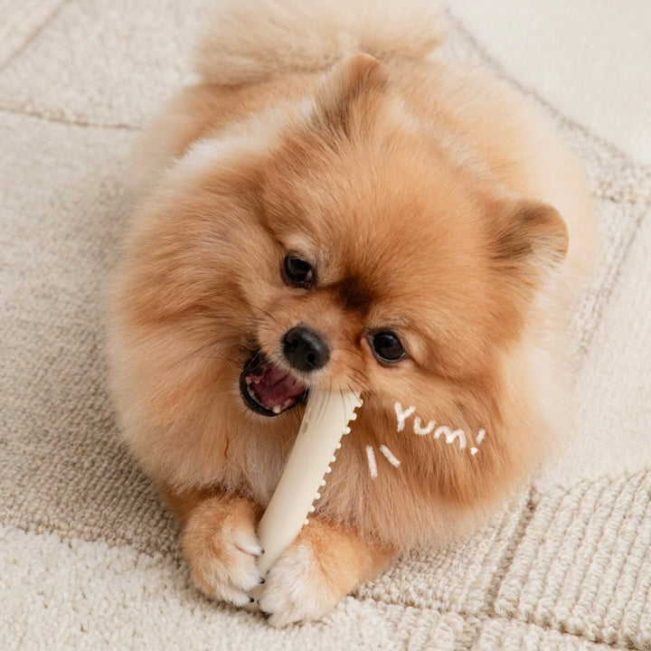 即納【BITE ME】Buddy Bone Nylon Toy