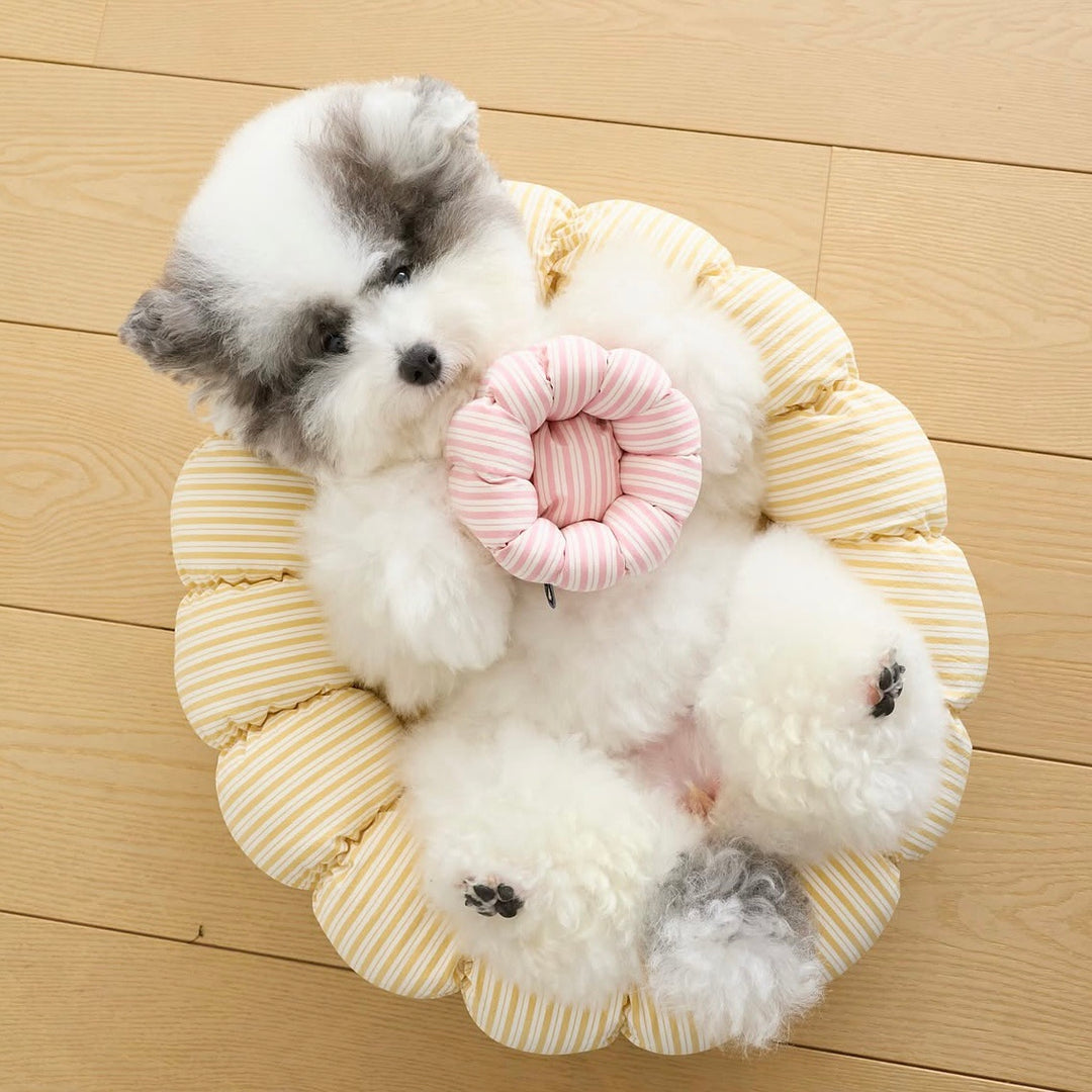 ※予約販売【azalea】Canele Cushion（New Stripe Yellow）