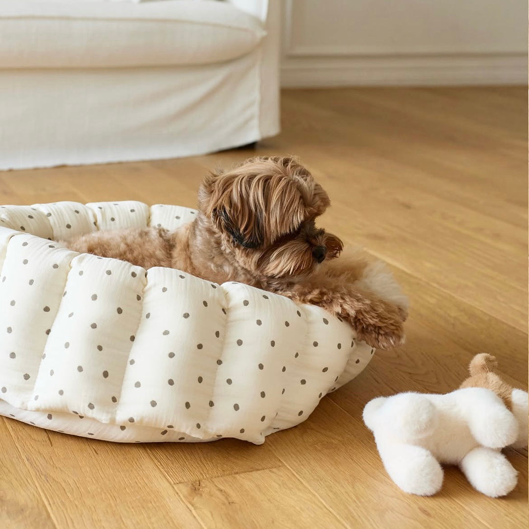 ※予約販売【azalea】Canele Cushion（Ivory Dot）
