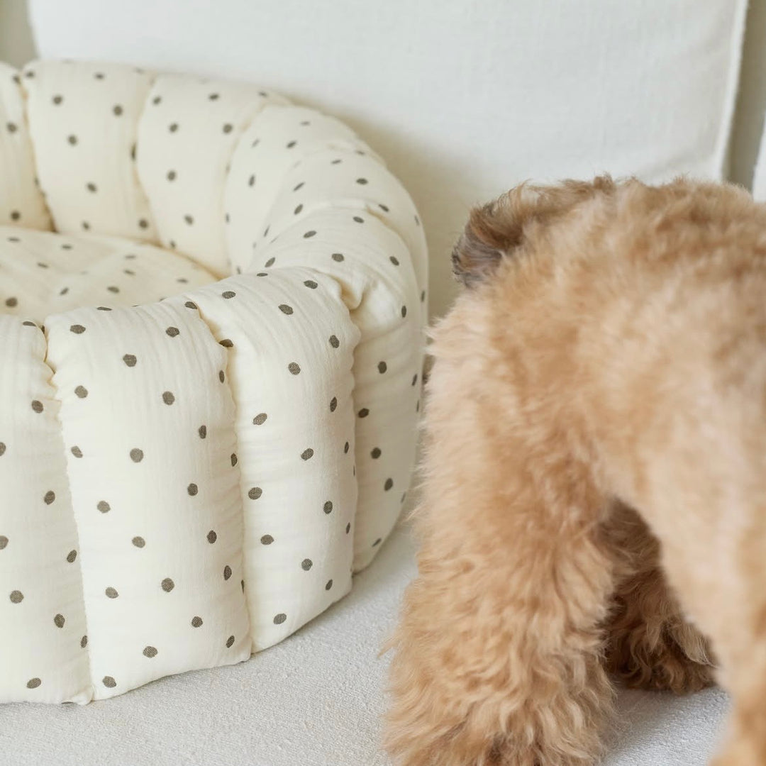 ※予約販売【azalea】Canele Cushion（Ivory Dot）
