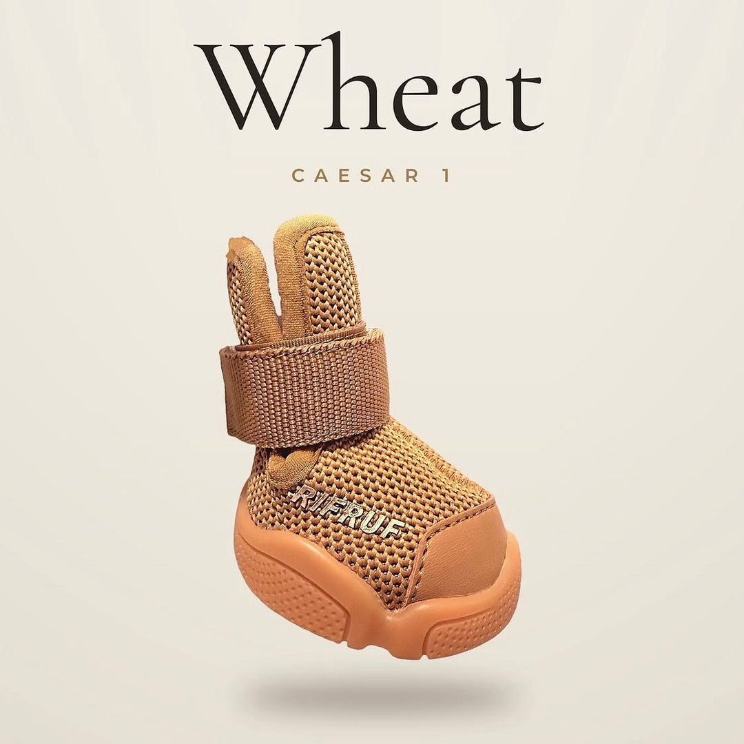 即納【RIFRUF】SNEAKERS CAESAR 1（Wheat）