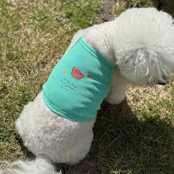 即納【OOPS! MY DOG】Tutti Fruitti Watermelon