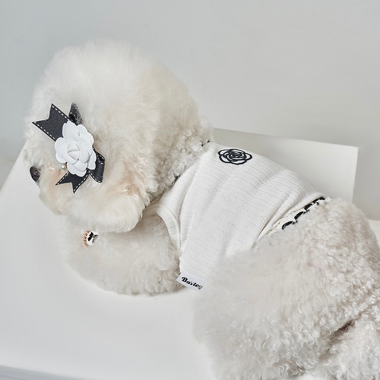 ※予約販売【Bailey】Coco Square（White）