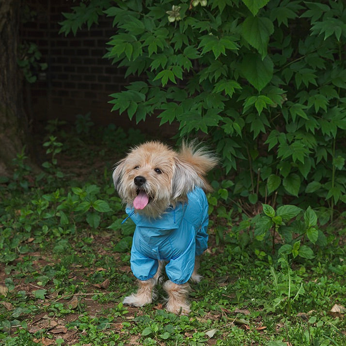 即納【noonoosoom】Rain shuit（Blue）