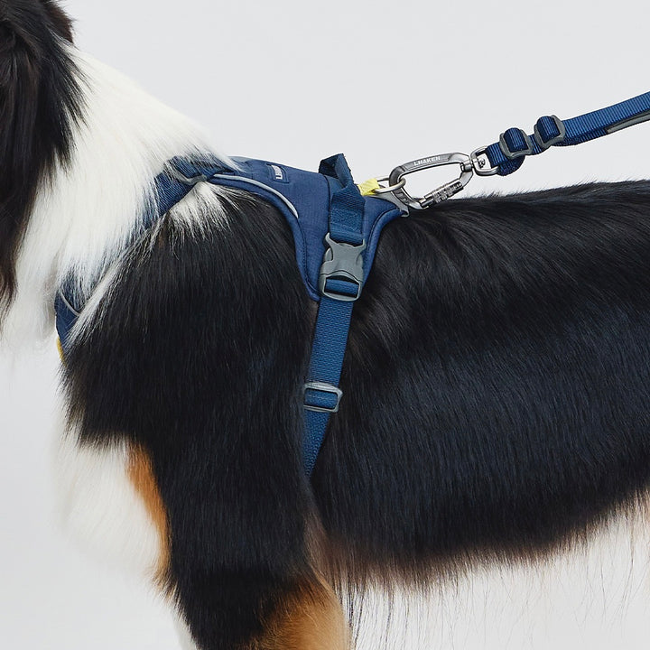 ※予約販売【munikund】REKTAIL Leash Hyper - Navy（25mm/1.8M）