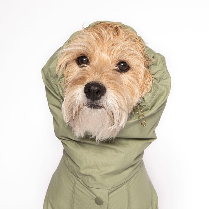 即納【noonoosoom】Rain shuit（Khaki）