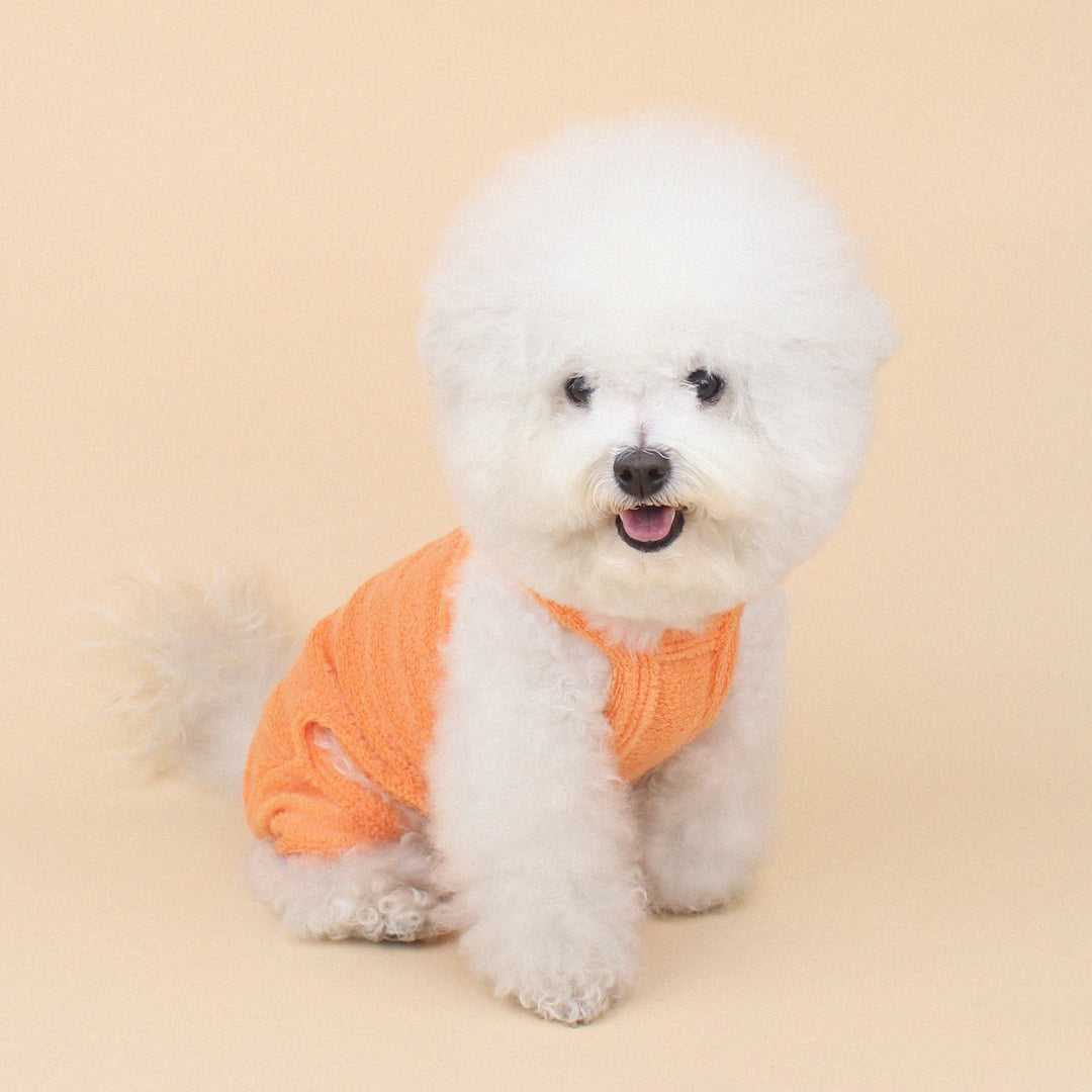 ※予約販売【CRR】Spring Candyfluff Strap Top All in one（Orange）