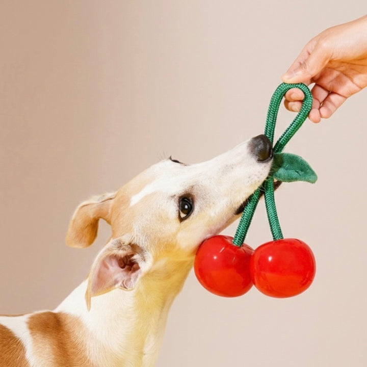 即納【DOGSKETCH】Delicious Fruits Toy